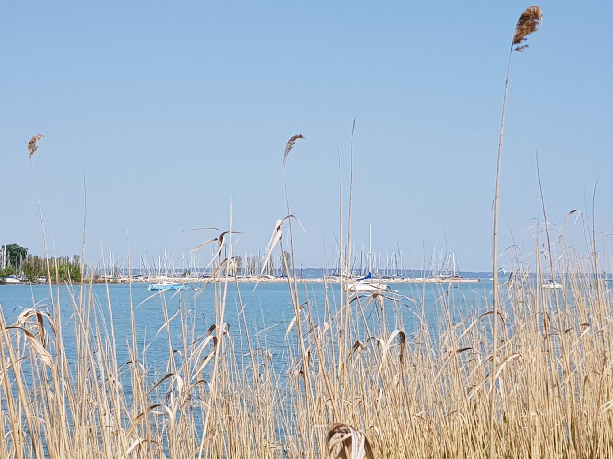 Coastline Balaton Apartment Alsóörs Εξωτερικό φωτογραφία